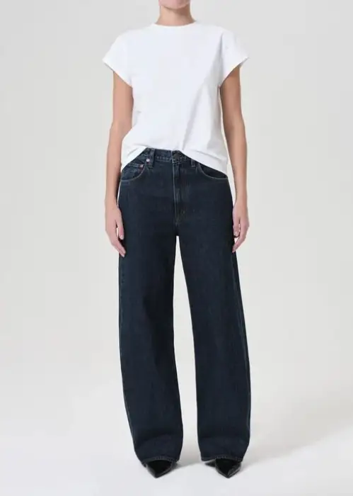 AGOLDE LOW CURVE JEANS IN PENDULUM