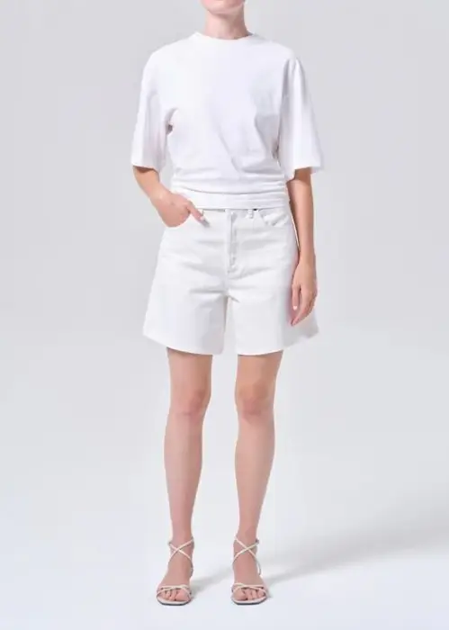 AGOLDE DAME SHORT IN F.COOK 27